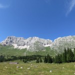 IMG_2345