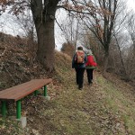 IMG_20210130_113255